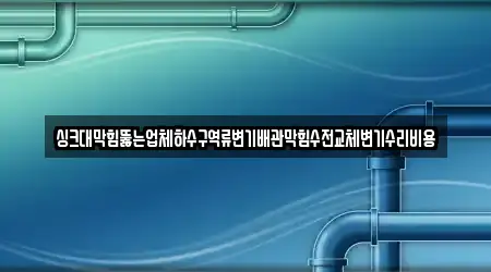 싱크대막힘뚫는업체하수구역류변기배관막힘수전교체변기수리비용