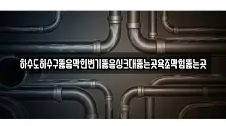 하수도하수구뚫음막힌변기뚫음싱크대뚫는곳욕조막힘뚫는곳