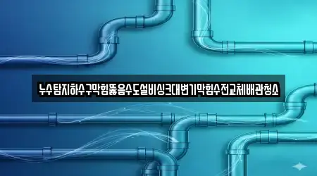 누수탐지하수구막힘뚫음수도설비싱크대변기막힘수전교체배관청소