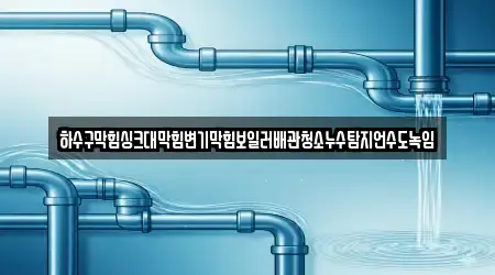 하수구막힘싱크대막힘변기막힘보일러배관청소누수탐지언수도녹임