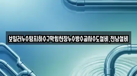 보일러누수탐지하수구막힘천장누수방수공사수도설비,전남설비