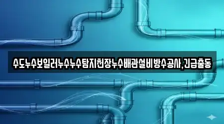 수도누수보일러누수누수탐지천장누수배관설비방수공사,긴급출동