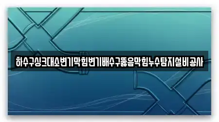 하수구싱크대소변기막힘변기배수구뚫음막힘누수탐지설비공사