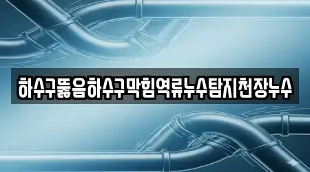 하수구뚫음하수구막힘역류누수탐지천장누수
