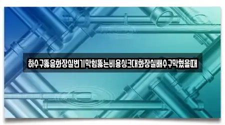 하수구뚫음화장실변기막힘뚫는비용싱크대화장실배수구막혔을때