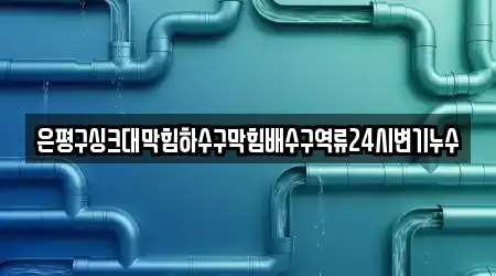 은평구싱크대막힘하수구막힘배수구역류24시변기누수