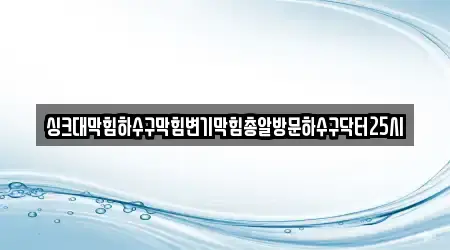 싱크대막힘하수구막힘변기막힘총알방문하수구닥터25시