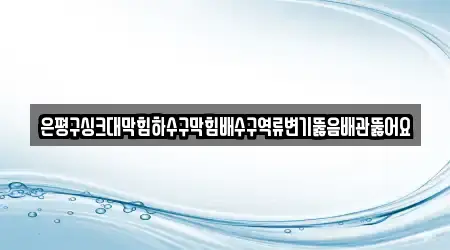 은평구싱크대막힘하수구막힘배수구역류변기뚫음배관뚫어요