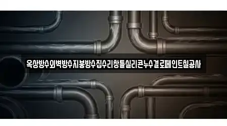 옥상방수외벽방수지붕방수집수리창틀실리콘누수결로페인트칠공사