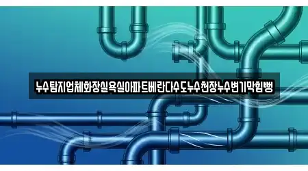 누수탐지업체화장실욕실아파트베란다수도누수천장누수변기막힘뻥