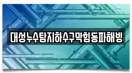 대성누수탐지하수구막힘동파해빙