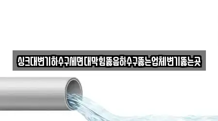 싱크대변기하수구세면대막힘뚫음하수구뚫는업체변기뚫는곳