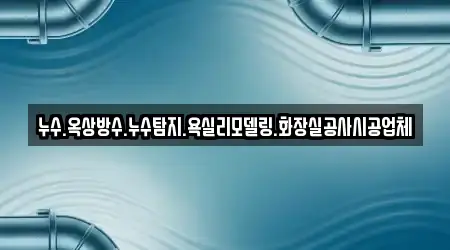 누수.옥상방수.누수탐지.욕실리모델링.화장실공사시공업체