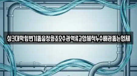 싱크대막힘변기뚫음정화조오수관역류고압세척누수배관뚫는업체