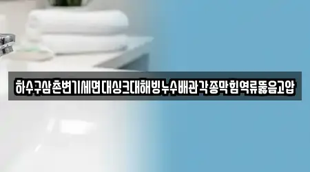 하수구삼촌변기세면대싱크대해빙누수배관각종막힘역류뚫음고압