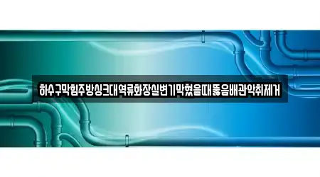 하수구막힘주방싱크대역류화장실변기막혔을때뚫음배관악취제거
