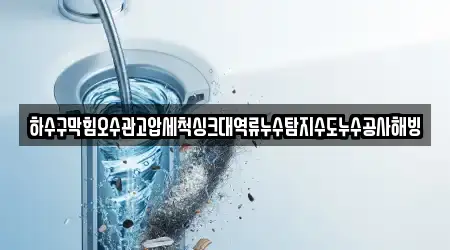 하수구막힘오수관고압세척싱크대역류누수탐지수도누수공사해빙
