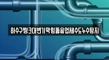하수구씽크대변기막힘뚫음업체수도누수탐지