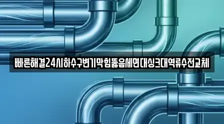 빠른해결24시하수구변기막힘뚫음세면대싱크대역류수전교체