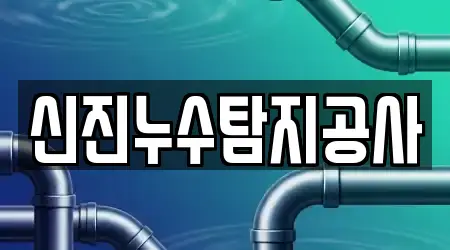 신진누수탐지공사