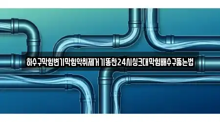 하수구막힘변기막힘악취제거기똥찬24시싱크대막힘배수구뚫는법