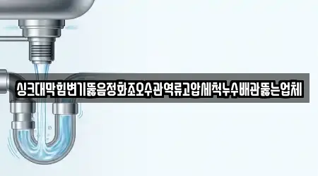 싱크대막힘변기뚫음정화조오수관역류고압세척누수배관뚫는업체