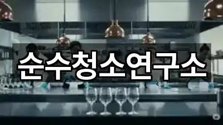 순수청소연구소