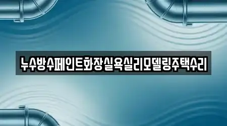 누수방수페인트화장실욕실리모델링주택수리