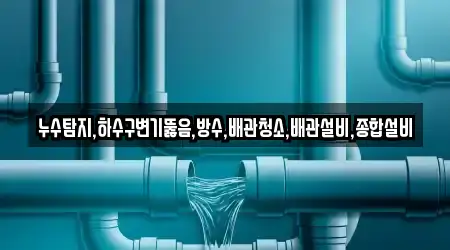 누수탐지,하수구변기뚫음,방수,배관청소,배관설비,종합설비