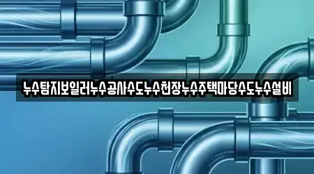 누수탐지보일러누수공사수도누수천장누수주택마당수도누수설비