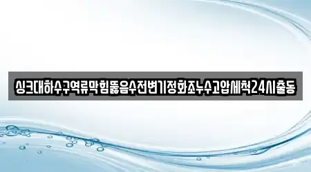 싱크대하수구역류막힘뚫음수전변기정화조누수고압세척24시출동