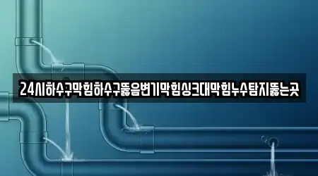 24시하수구막힘하수구뚫음변기막힘싱크대막힘누수탐지뚫는곳