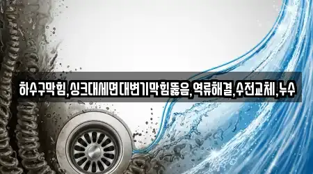 하수구막힘,싱크대세면대변기막힘뚫음,역류해결,수전교체,누수