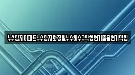 누수탐지아파트누수탐지화장실누수하수구막힘변기뚫음변기막힘