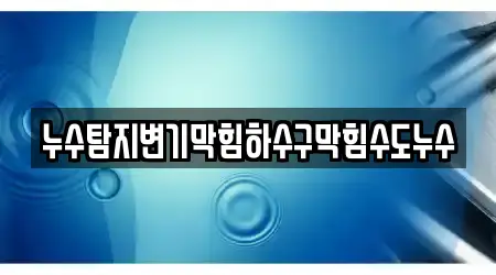 누수탐지변기막힘하수구막힘수도누수
