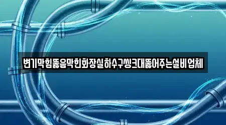 변기막힘뚫음막힌화장실하수구씽크대뚫어주는설비업체