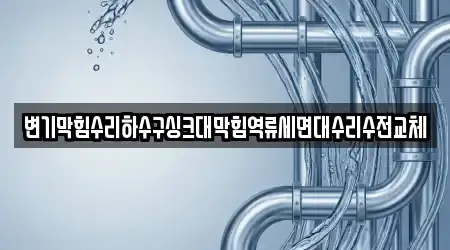 변기막힘수리하수구싱크대막힘역류세면대수리수전교체