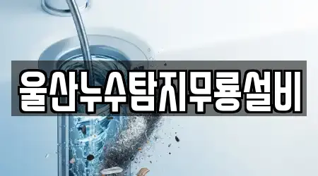 울산누수탐지무룡설비