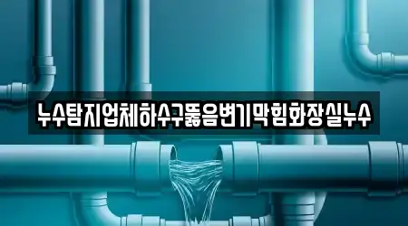 누수탐지업체하수구뚫음변기막힘화장실누수