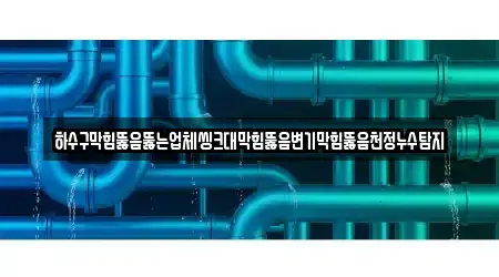 하수구막힘뚫음뚫는업체씽크대막힘뚫음변기막힘뚫음천정누수탐지