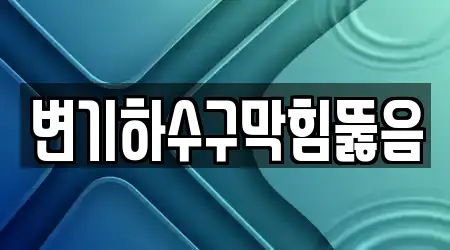 변기하수구막힘뚫음
