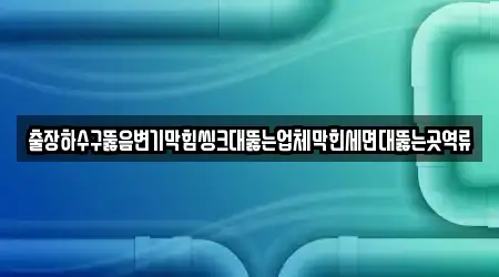 출장하수구뚫음변기막힘씽크대뚫는업체막힌세면대뚫는곳역류