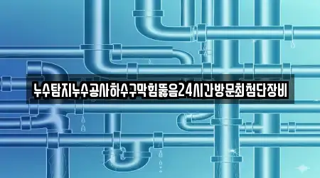 누수탐지누수공사하수구막힘뚫음24시간방문최첨단장비