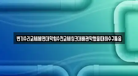 변기수리교체세면대막힘수전교체싱크대배관막혔을때하수구뚫음