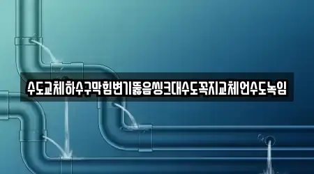수도교체하수구막힘변기뚫음씽크대수도꼭지교체언수도녹임