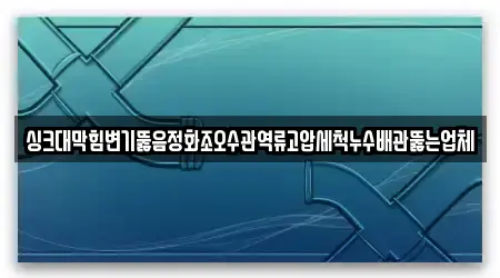 싱크대막힘변기뚫음정화조오수관역류고압세척누수배관뚫는업체