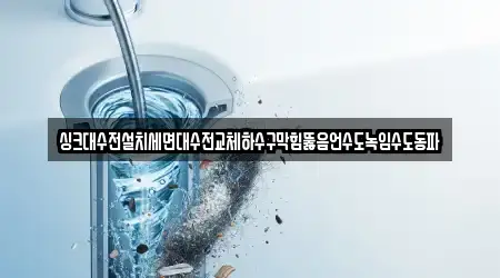 싱크대수전설치세면대수전교체하수구막힘뚫음언수도녹임수도동파