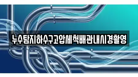 누수탐지하수구고압세척배관내시경촬영