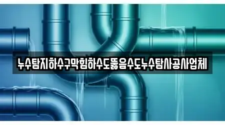 누수탐지하수구막힘하수도뚫음수도누수탐사공사업체