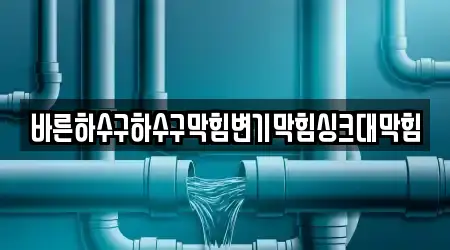 바른하수구하수구막힘변기막힘싱크대막힘
